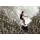 RONIX | RXT Blackout Technology Boat - 2023