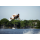 RONIX | RXT Blackout Technology Boat - 2023
